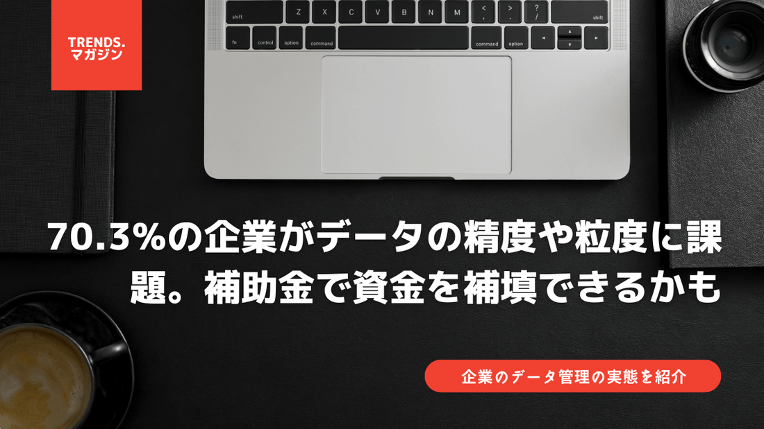 70.3%の企業がデータの鮮度や精度・粒度に課題。データアーキテクチャの策定が急務。補助金で資金を補填できるかも。