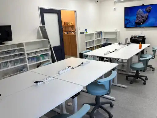 株式会社Enneが歯科衛生士向け復職支援セミナーを開催、ブランクからの現場復帰を後押し