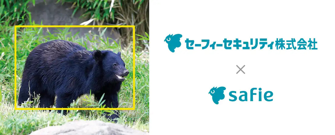 セーフィーとセーフィーセキュリティがクマ対策ソリューションの提供開始を発表、AI検知と目視確認でワンストップ対応