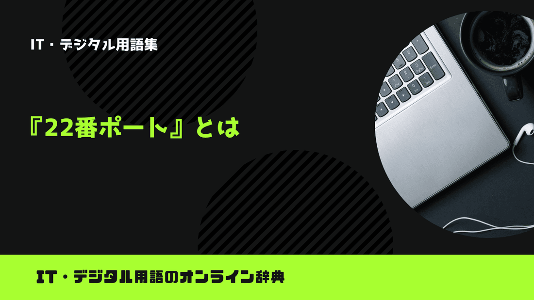 22番ポートとは？意味をわかりやすく簡単に解説